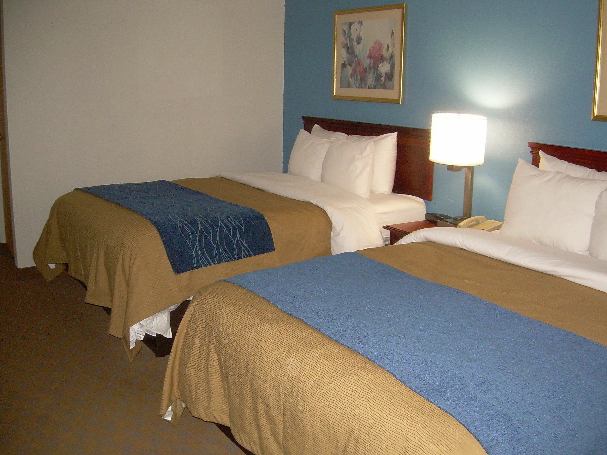 ליס סאמיט Comfort Inn & Suites Lees Summit - Kansas City מראה חיצוני תמונה